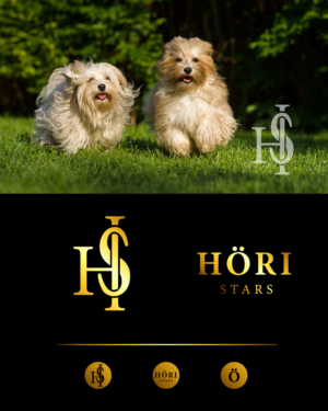 Logo Design by CPostal for this project | Design #26809373