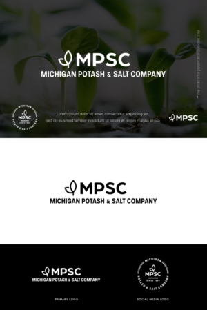 Diseño de Logo por designbysy para este proyecto | Diseño: #26832503