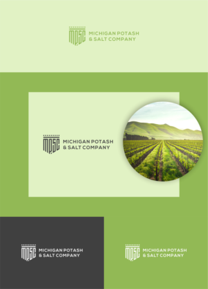 Michigan Potash and Salt Company or Michigan Potash & Salt Company | Logo Design by nomnome