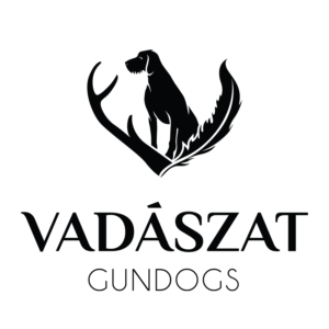 Logo Design by MT