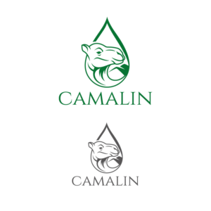 Camalin | Logo Design by Graphic Bricks