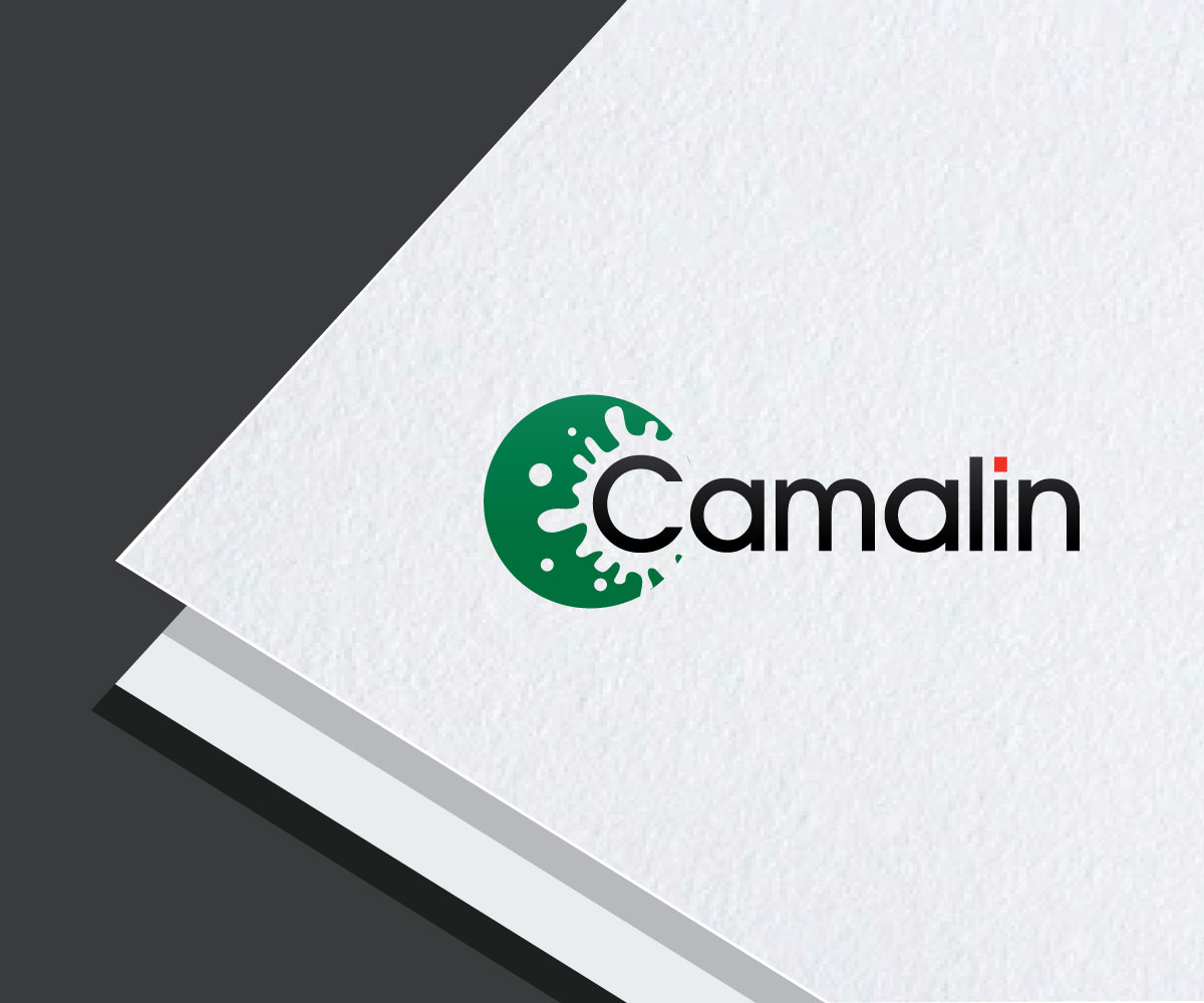 Diseño de Logo por future logo.com para este proyecto | Diseño #26807981