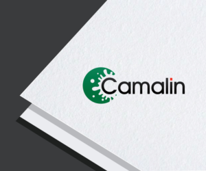 Logo Design by future logo.com for this project | Design: #26807981