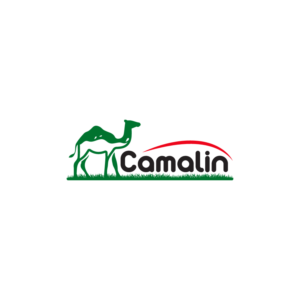 Logo Design by I designs for this project | Design #26805748