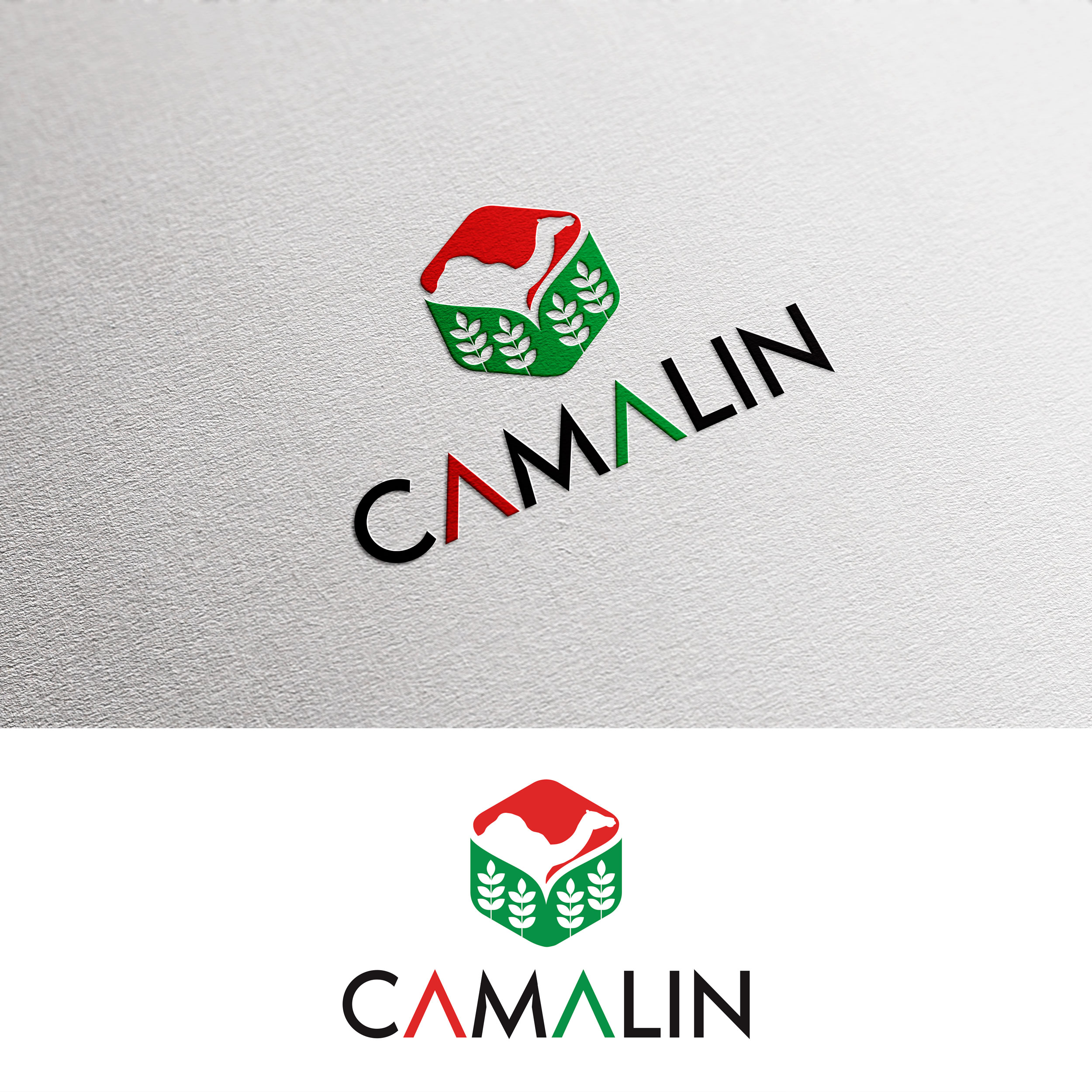 Logo Design by u2square for this project | Design #26807985