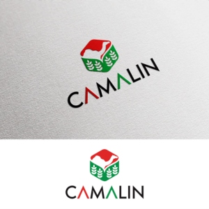Logo Design by u2square for this project | Design #26807985