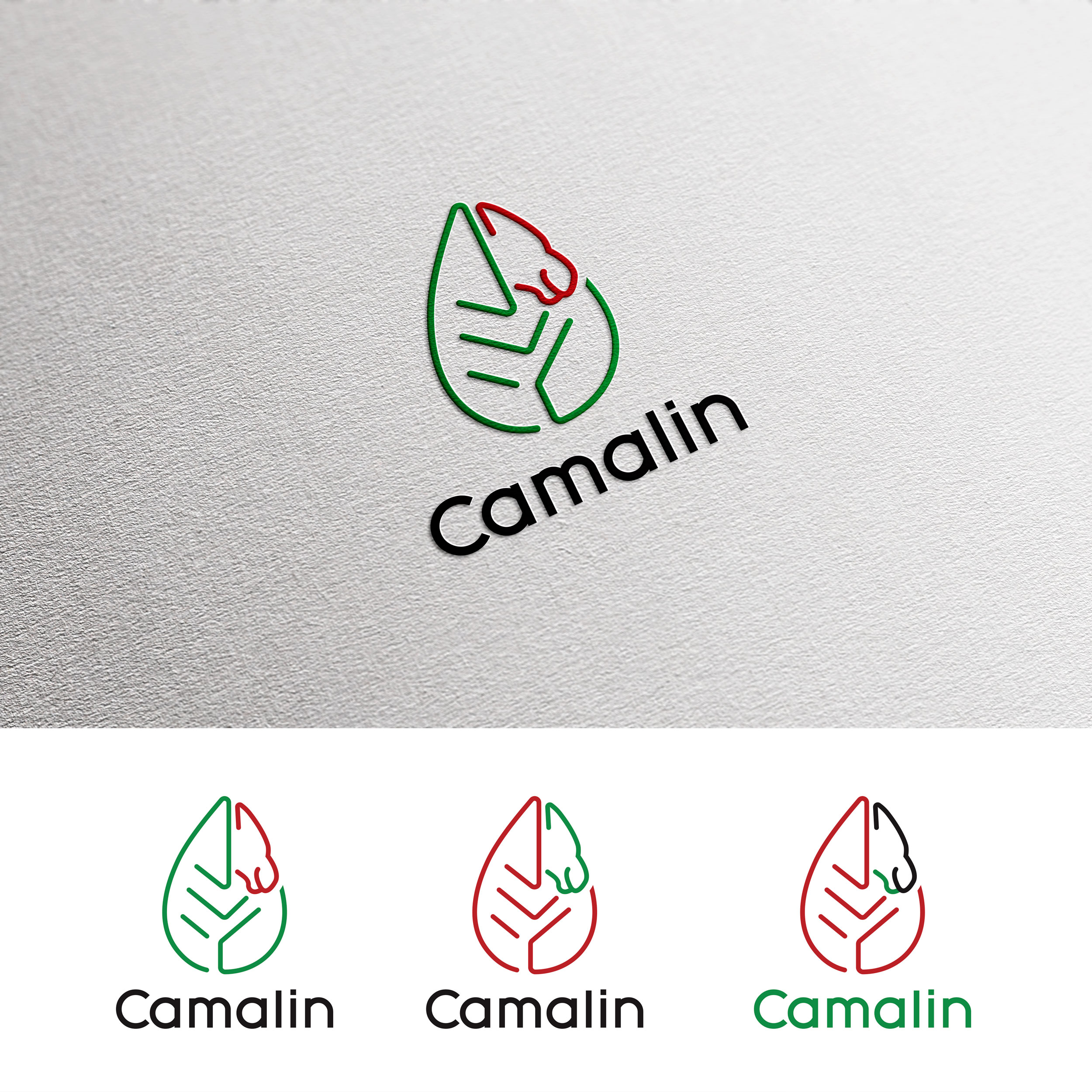 Logo Design by u2square for this project | Design #26807986