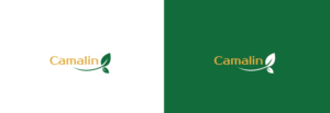 Camalin | Logo Design by lnb...