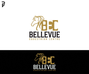 Design de Logo par poisonvectors pour ce projet | Design : #26809238