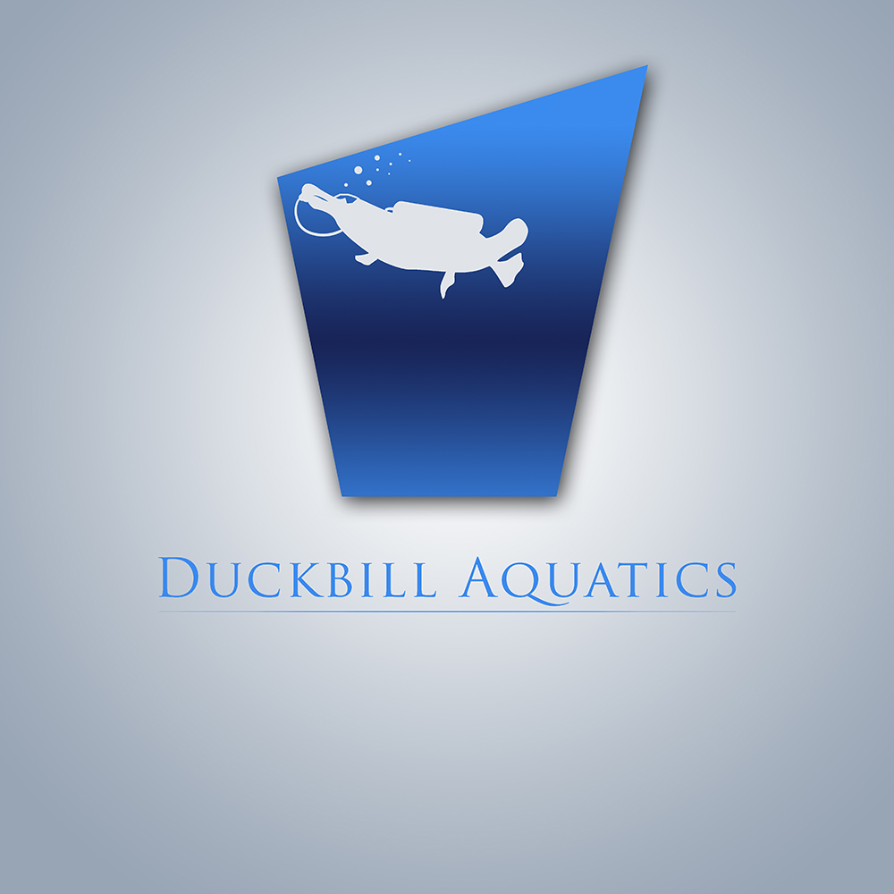 Logo Design by iTouch for Duckbill Consulting | Design #3050897