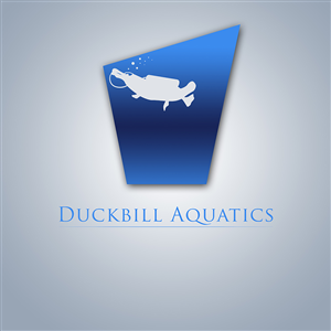 Logo Design by iTouch