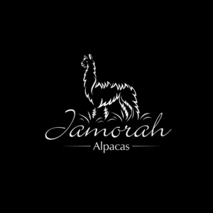 Logo Design by geni for this project | Design: #26821862