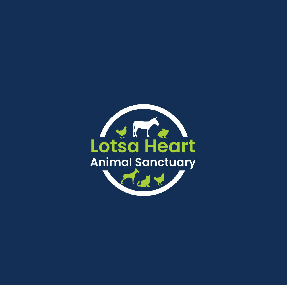 Logo Design by NZ Creatives for this project | Design #26832073