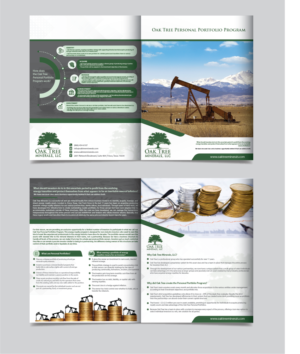 Design de Flyer par alex989 pour ce projet | Design : #26832093