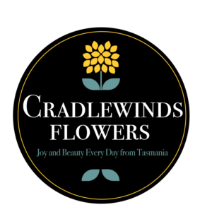 Logo Design by Thomasdesign
