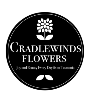 Logo Design by Thomasdesign for this project | Design: #26831863