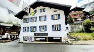 Logo Design by 3-ikE for TREUINVEST AG | Design: #27287664