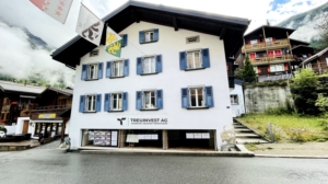 Logo Design by 3-ikE for TREUINVEST AG | Design: #27287665