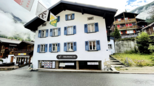 Logo Design by 3-ikE for TREUINVEST AG | Design: #27287666