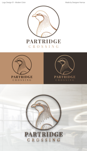 Logo Design by Designer Hamza