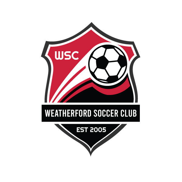 Logo Design by NetSpidy for BlueBot | Design #26871367