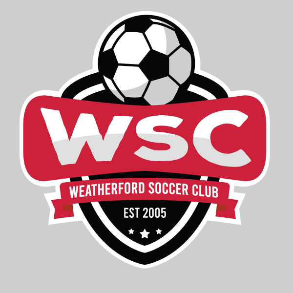 Logo-Design von NetSpidy für BlueBot | Design #26912182