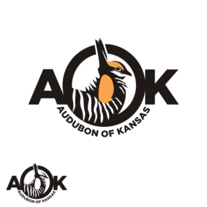 Logo Design by Kreative Fingers