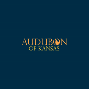 Logo Design by nzdesigners