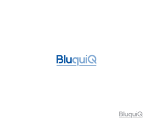 bluequip or bluquip (we would like options with and without the letter e) - Can be lower case, all in capitals or just capitals on the B and the Q - Flexible | Logo Design by Iris 3