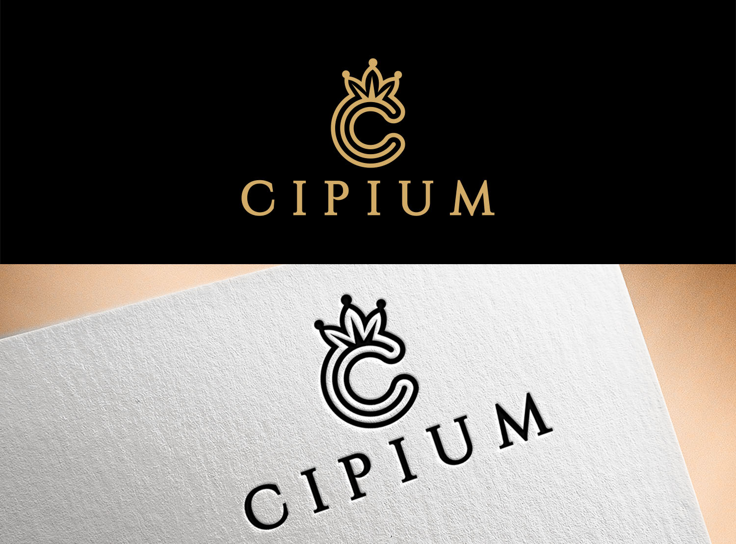 Logo Design by Vishak vasu for this project | Design #26862048