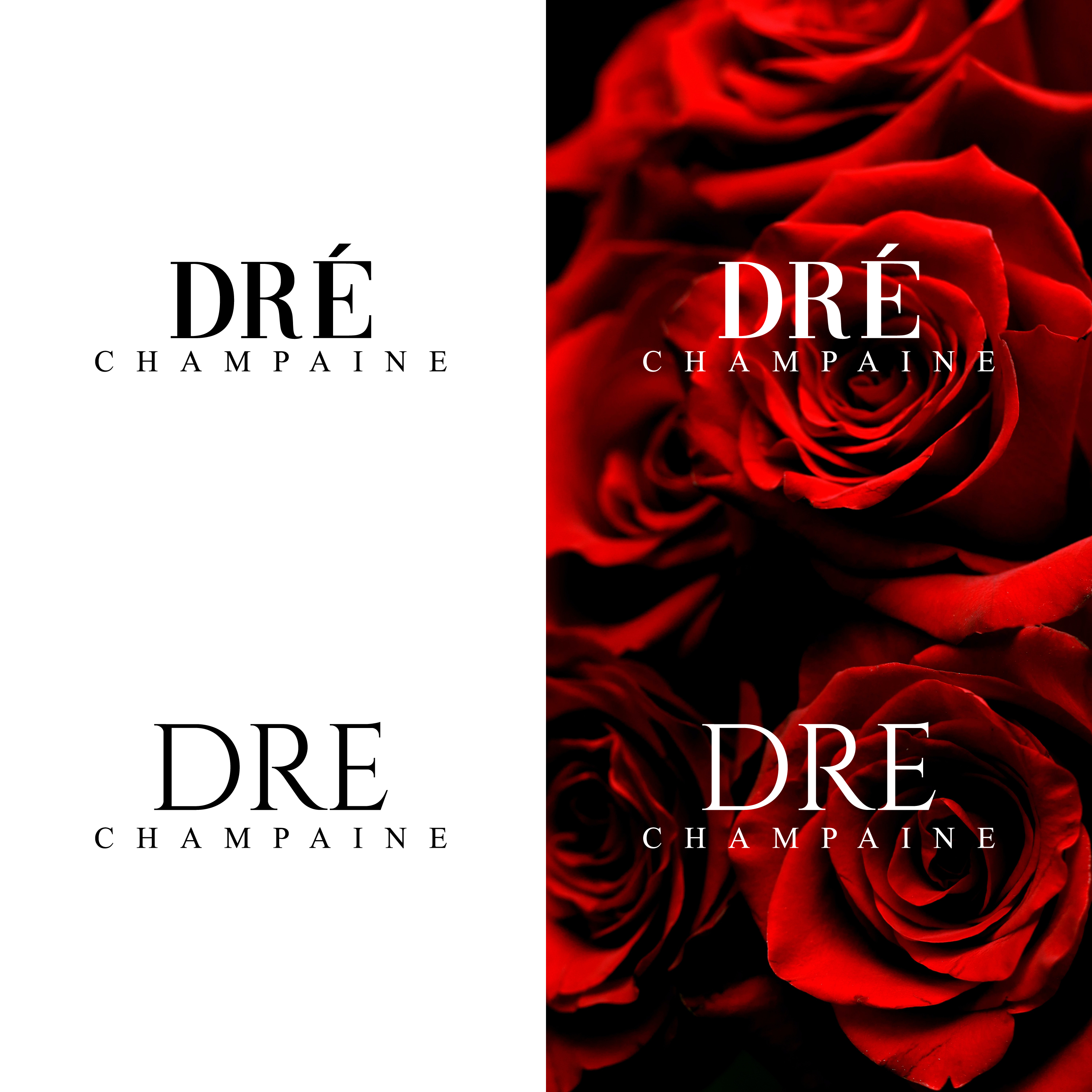 Design de Logo par Mongsh pour SoundStorm Company | Design #26864177