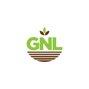 Logo Design by Anoushay