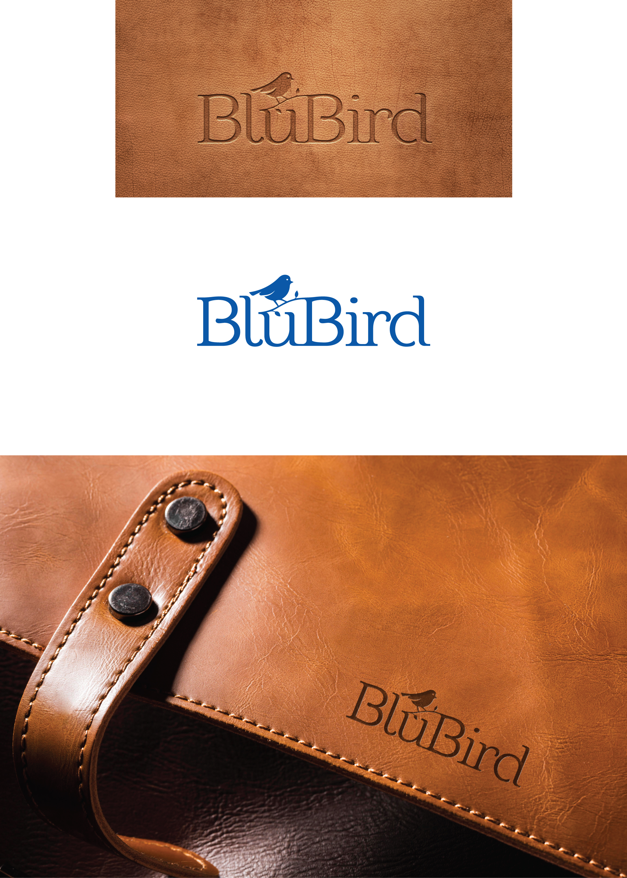 Logo Design by mmcreatives.in for this project | Design #26901121