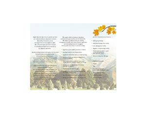 Design de Brochure par Kiki Hermawan pour Salt Lake Behavioral Health | Design : #3099784