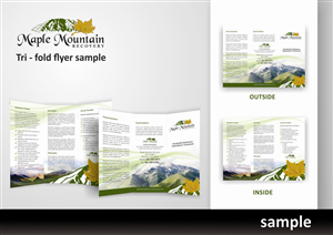 Diseño de Brochure por cristinaDPI para Salt Lake Behavioral Health | Diseño #3091824