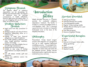 Design de Brochure par Impressive Solutions pour Salt Lake Behavioral Health | Design : #3128968