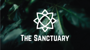 Logo Design by The Talich for this project | Design: #27043499