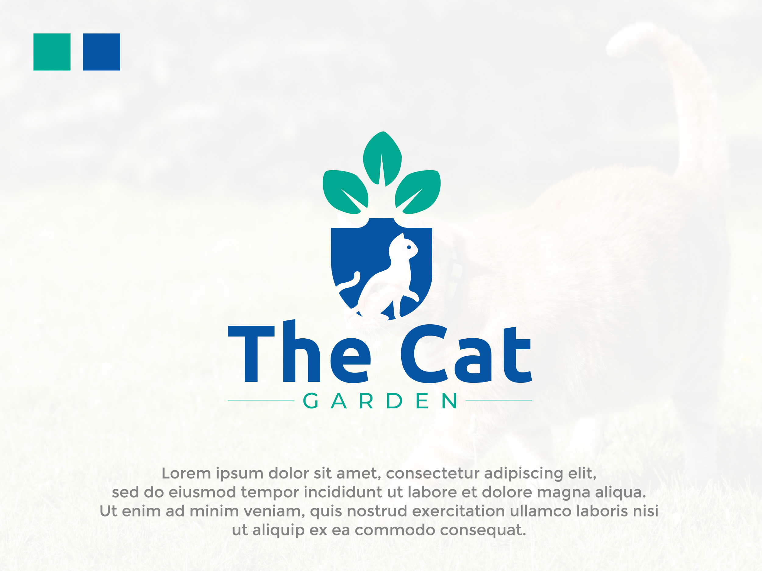 Logo-Design von Nova Tech Solutions für dieses Projekt | Design #26876500