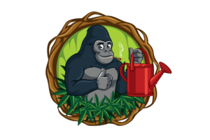 Graphic Design by singhania for this project | Design: #26887626