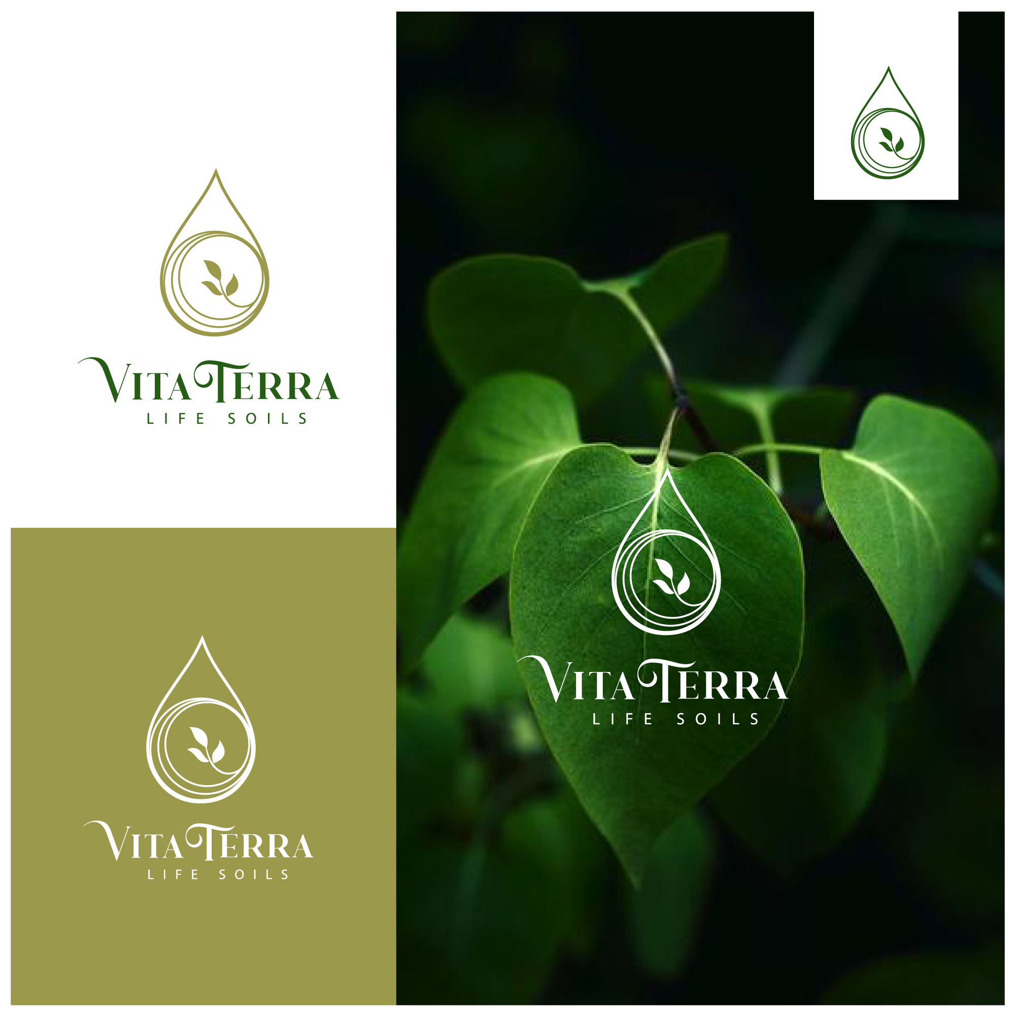 Logo-Design von Sana Ali für dieses Projekt | Design #26878856