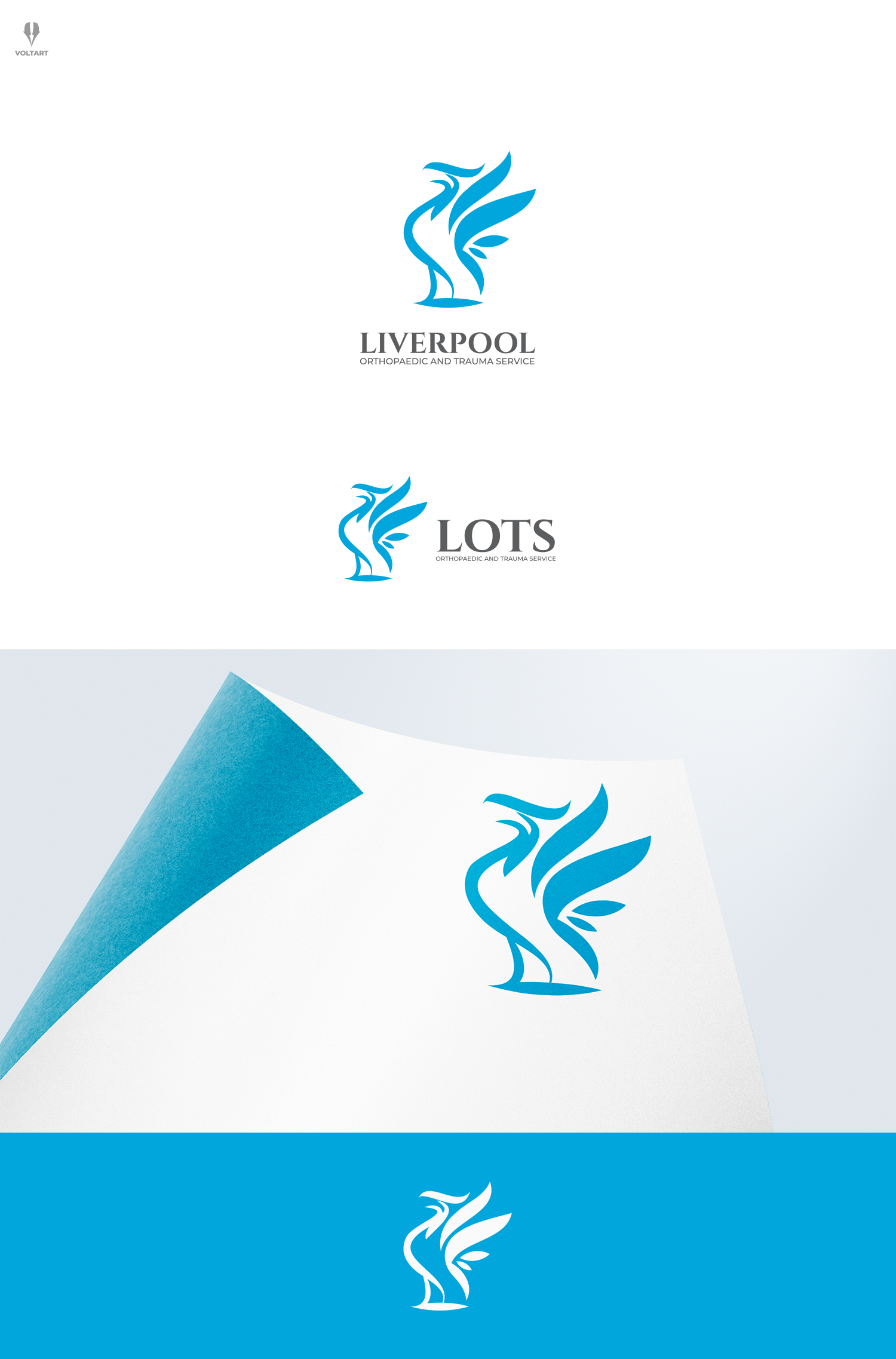 Logo Design by voltart for this project | Design #26950979