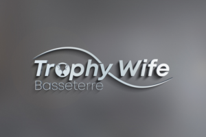 Logo Design by Nova Tech Solutions for SB USA Inc | Design: #26882743