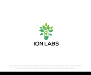 Design de Logo par Niizam Uddin pour Ion Labs | Design : #26894064