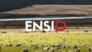 Logo Design by Blumenfeld for this project | Design: #26978663