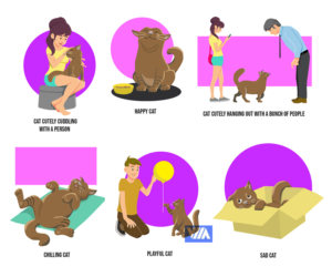 Series of playful cat illustrations for website | Design Illustration par wanagaran