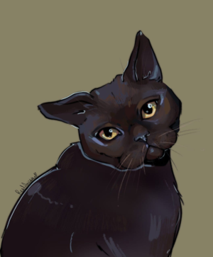 Illustration Design by Anasta