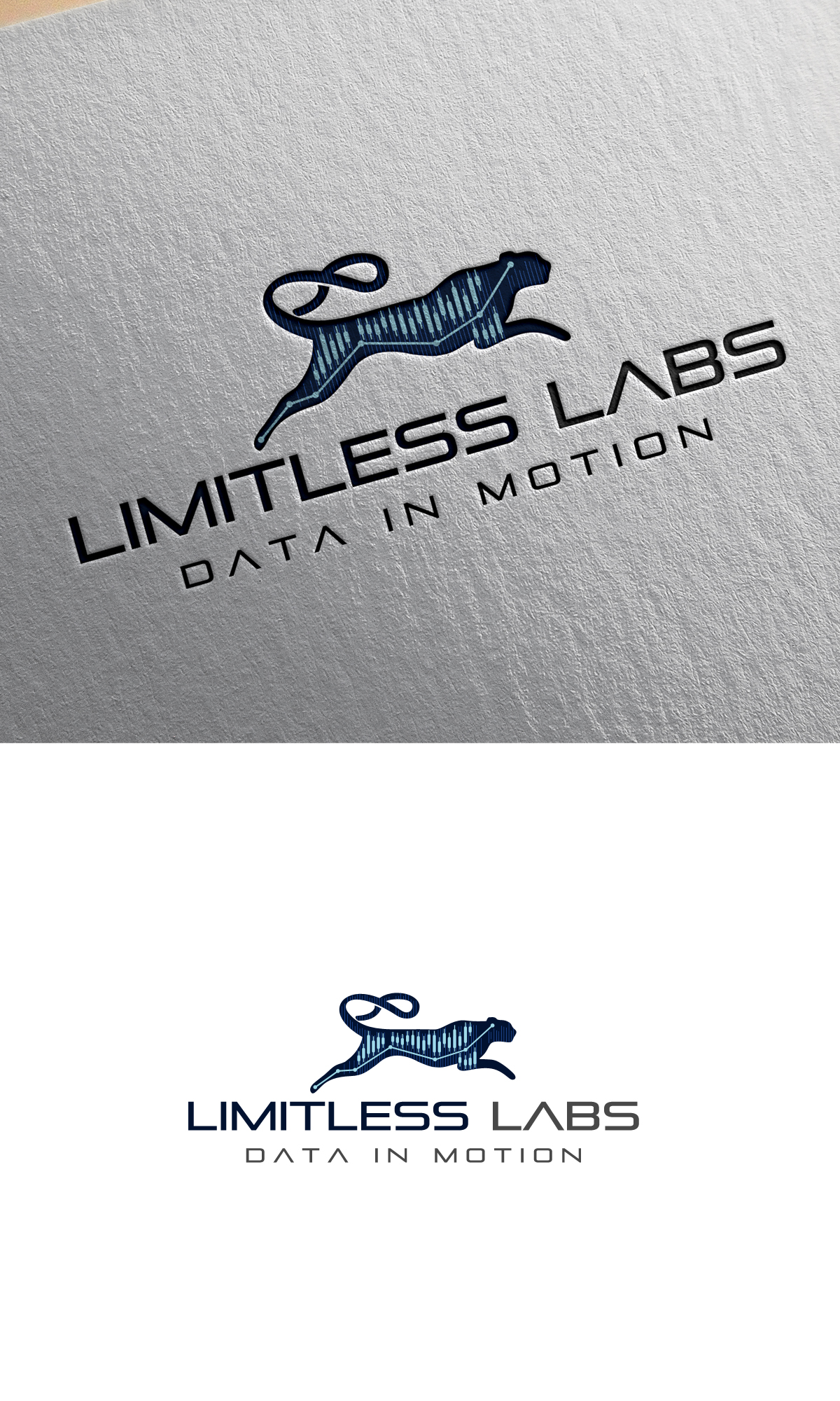 Logo Design by logo_s for this project | Design #26911325