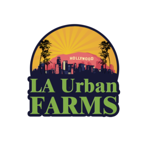 Logo Design by louiemagno2005