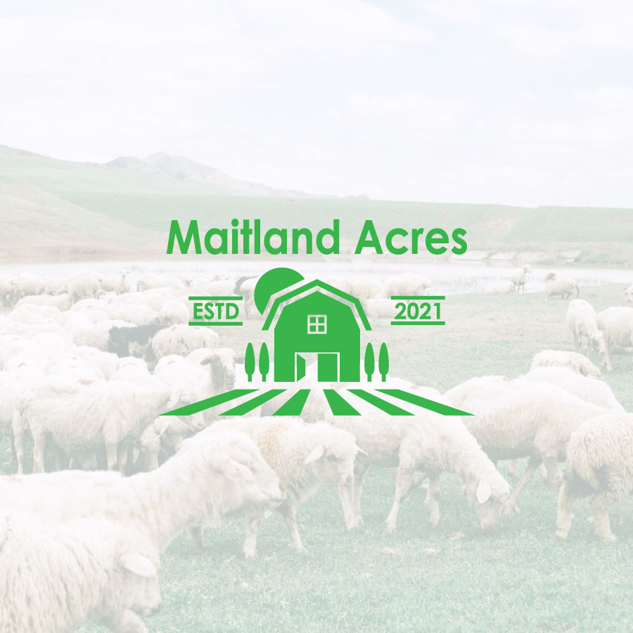 Logo Design by angapmik for this project | Design #26921378