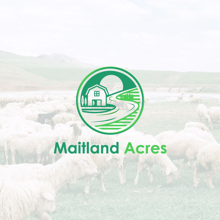 Logo Design by angapmik for this project | Design #26928400